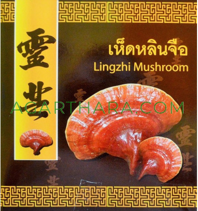 Kongka Herb Lingzhi Mushroom, 220 g