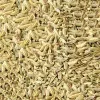 JK Spices FENNEL SEED (SOUNF), 50 g