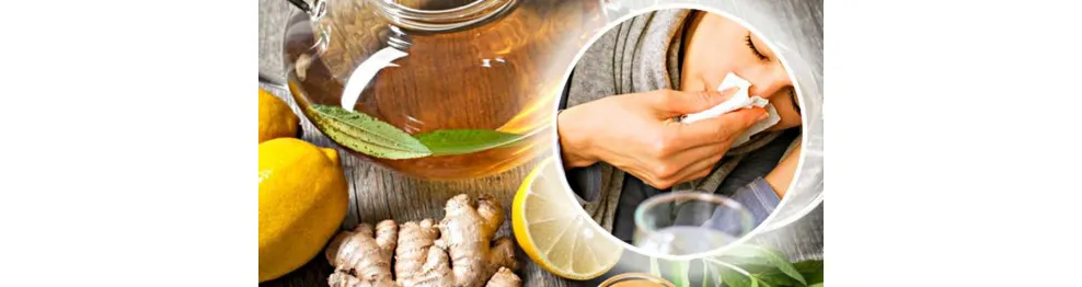 Means for cold and cough, inhalers