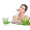 Natural Aloe Cream